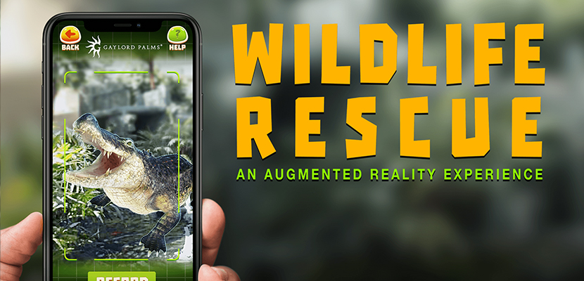Nick Puglisi • Wildlife Rescue AR App
